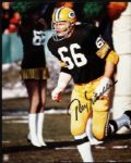 1990s Ray Nitschke Green Bay Packers Signed 8 x 10 Photo - Lot of 3 - JSA