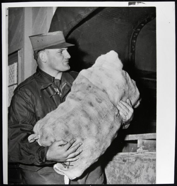 1961 Ray Nitschke Green Bay Packers Generation 1 7" x 8 1/2" Photo