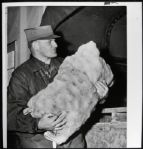 1961 Ray Nitschke Green Bay Packers Generation 1 7" x 8 1/2" Photo
