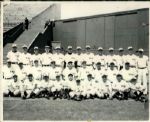 1925 San Francisco Seals Team Picture PCL "The Sporting News Collection Archives" Original Type 1 8" x 10" Photo (Sporting News Collection Hologram/MEARS Type 1 Photo LOA)