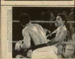 1967-75 Muhammad Ali Chicago Sun-Times Original Type 1 Laser Photo - Lot of 56  (Sun Times Hologram/MEARS Type 1 Photo LOA)