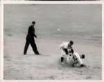 1951 World Series New York Yankees New York Giants The Sporting News Collection Archives Original Type 1 Photos (Sporting News Collection Hologram/MEARS Type 1 Photo LOA) - Lot of 22