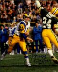 1950s-1990s Green Bay Packers Signed 8 x 10 Photo - Lot of 41 - JSA w/ Ron Kramer Bob Jeter Tony Canadeo Dave Robinson
