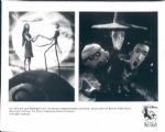 1920s to 1990s Assorted Movie Collection with Titles N-R The Denver Post Original Type 1 Photos (MEARS Type 1 Photo LOA) - Lot of 1000