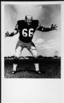 1970s Ray Nitschke Green Bay Packers Personal Photos - Lot of 28