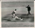 1951 World Series New York Yankees New York Giants The Sporting News Collection Archives Original Type 1 Photos (Sporting News Collection Hologram/MEARS Type 1 Photo LOA) - Lot of 22