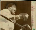 1964-77 Muhammad Ali Chicago Sun-Times Original Type 1 Photo - Lot of 10  (Sun Times Hologram/MEARS Type 1 Photo LOA)