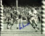 1950s-1990s Green Bay Packers Signed 8" x 10" Photo - Lot of 41 - JSA w/ Ron Kramer Bob Jeter Tony Canadeo Dave Robinson