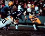 1950s-1990s Green Bay Packers Signed 8 x 10 Photo - Lot of 41 - JSA w/ Ron Kramer Bob Jeter Tony Canadeo Dave Robinson