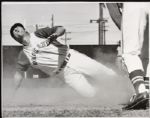 1971 Don Mincher Oakland Athletics "The Sporting News Collection Archives" Original Type 1 11" x 14" Choice Jumbo Oversized Photo (TSN Collection Hologram/MEARS Type 1 Photo LOA) 1:1, Unique 