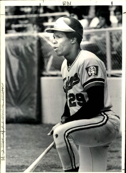1974 Rod Carew Minnesota Twins "The Sporting News Collection Archives" Original 7.25" x 10" Photo (Sporting News Collection Hologram/MEARS Photo LOA)