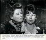 1927-99 Miscellaneous Movies Starting With L / M / N The Denver Post Original Type 1 Photos (MEARS Type 1 Photo LOA) - Lot of 1000