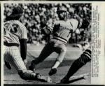 1982 World Series St. Louis Cardinals Milwaukee Brewers The Sporting News Collection Archives Original Type 1 Photos (Sporting News Collection Hologram/MEARS Type 1 Photo LOA) - Lot of 60