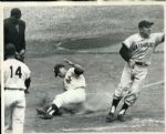 1962 World Series New York Yankees San Francisco Giants The Sporting News Collection Archives Original Type 1 Photos (Sporting News Collection Hologram/MEARS Type 1 Photo LOA) - Lot of 38