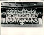 1970 World Series Reds vs. Orioles The Sporting News Collection Archives Original Type 1 Photo (Sporting News Collection Hologram/MEARS Type 1 Photo LOA) - Lot of 44