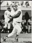 1971 Willie McCovey San Francisco Giants "The Sporting News Collection Archives" Original Type 1 10" x 13" Choice Jumbo Oversized Photo (TSN Collection Hologram/MEARS Photo LOA) 1:1, Unique