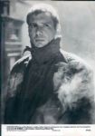 1930s to 1990s Assorted Movies with Titles A-C and F-G The Denver Post Original Type 1 Photos (MEARS Type 1 Photo LOA) - Lot of 1000