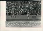 1949 World Series Brooklyn Dodgers vs. New York Yankees "The Sporting News Collection Archives" Original Type 1 Photo - Lot of  14 (Sporting News Collection Hologram/MEARS Type 1 Photo LOA)