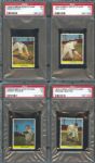 1949 Eureka Sportstamp Chicago Cubs PSA 5 Collection (4)