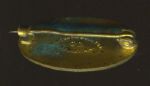1908 National Corn Exposition Pinback