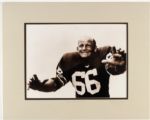 1990s Ray Nitschke Green Bay Packers Promotional Displays