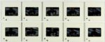 1970 Green Bay Packers Original Negative - Lot of 10 w / Phil Bengston Ray Nitschke Willie Wood Bart Starr