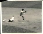1941-57 Pee Wee Reese Brooklyn Dodgers The Sporting News Collection Archives Original Photo - Lot of 7 (Sporting News Collection Hologram/MEARS Photo LOA)