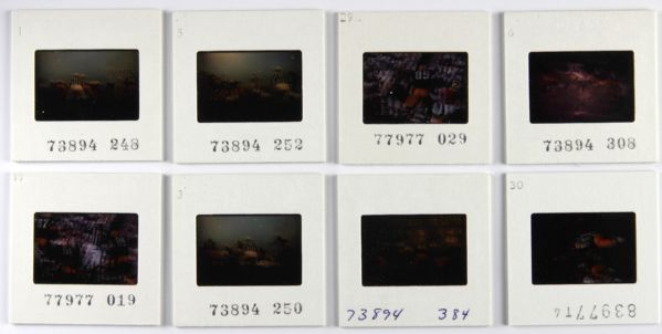 1965-67 Ray Nitschke Green Bay Packers Original Slide - Lot of 8 With Transfer Rights Incl. 4 Phantom Field Goal Game & 2 Super Bowl I 