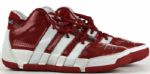2009-10 Hedo Turkoglu Toronto Raptors Signed Game Worn Shoes - MEARS LOO - JSA