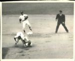 1941-57 Pee Wee Reese Brooklyn Dodgers The Sporting News Collection Archives Original Photo - Lot of 7 (Sporting News Collection Hologram/MEARS Photo LOA)