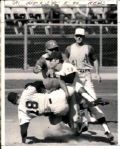 1957-69 Baseball Brawls Inc. Juan Marichal Fight The Sporting News Collection Archives Original Photo - Lot of 11 (Sporting News Collection Hologram/MEARS Photo LOA)