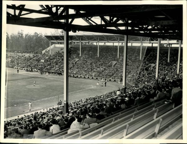 1939 circa Hollywood Stars Opener PCL "The Sporting News Collection Archives" Original 8" x 10" Photo (Sporting News Collection Hologram/MEARS Photo LOA)