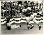 1967 World Series St. Louis Cardinals Boston Red Sox The Sporting News Collection Archives Original Photos (Sporting News Collection Hologram/MEARS Photo LOA) - Lot of 69
