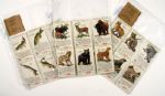1950's Coca Cola Soda World of Nature Collection Cards (Lot of 35 Cards)