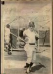 1940s to 1990s Assorted Baseball Photos The Sporting News Original Generation 1 Photos (MEARS Photo LOA) - Lot of 900