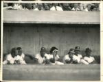 1973 World Series Oakland Athletics New York Mets The Sporting News Collection Archives Original Photos (Sporting News Collection Hologram/MEARS Photo LOA) - Lot of 34