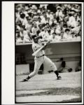 1970's Ron Santo Chicago Cubs 8x10 Photographs (9)
