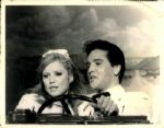 1950s to 1960s Elvis Presley John Rogers Photo Archives Original Photos (MEARS Photo LOA) - Lot of 31