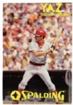 1970s Carl Yastrzemski Boston Red Sox Spalding Consultant 22 1/2" x  33" Store Display 