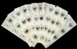 Tough 1977 Redpath Sugar Montreal Expos Set