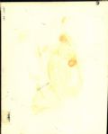 1960 John F Kennedy Original 8 x 10 Photo (MEARS Photo LOA)