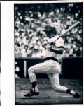 1970's Ron Santo Chicago Cubs 8x10 Photographs (9)