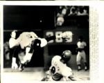 1978 World Series New York Yankees Los Angeles Dodgers The Sporting News Collection Archives Original Photos (Sporting News Collection Hologram/MEARS Photo LOA) - Lot of 71