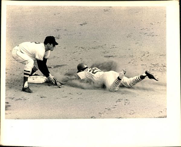 1967 World Series St. Louis Cardinals Boston Red Sox "The Sporting News Collection Archives" Original Photos (Sporting News Collection Hologram/MEARS Photo LOA) - Lot of 69