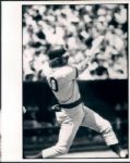 1970's Ron Santo Chicago Cubs 8x10 Photographs (9)