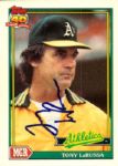 1980s - 90s The Mother Load of Autographed 2305 Cards All Secured at Milwaukee County Stadium - MEARS