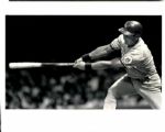 1989-93 circa George Brett Kansas City Royals "The Sporting News Collection Archives" Original 8" x 10" Photos (Sporting News Collection Hologram/MEARS Photo LOA) - Lot of 5
