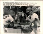 1967 World Series St. Louis Cardinals Boston Red Sox The Sporting News Collection Archives Original Photos (Sporting News Collection Hologram/MEARS Photo LOA) - Lot of 69