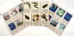 1950s Coca Cola Soda World of Nature Collection Cards (Lot of 35 Cards)