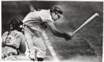 1970 Milwaukee Brewers First SeasonThe Sporting News Collection Archives Original First Generation Choice Jumbo Oversized Photos (TSN Collection Hologram/MEARS Photo LOA) 1:1, Unique - Lot of 8 +3